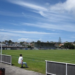 Kiwitea-Street
